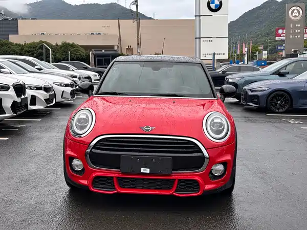 MINI MINI 2019