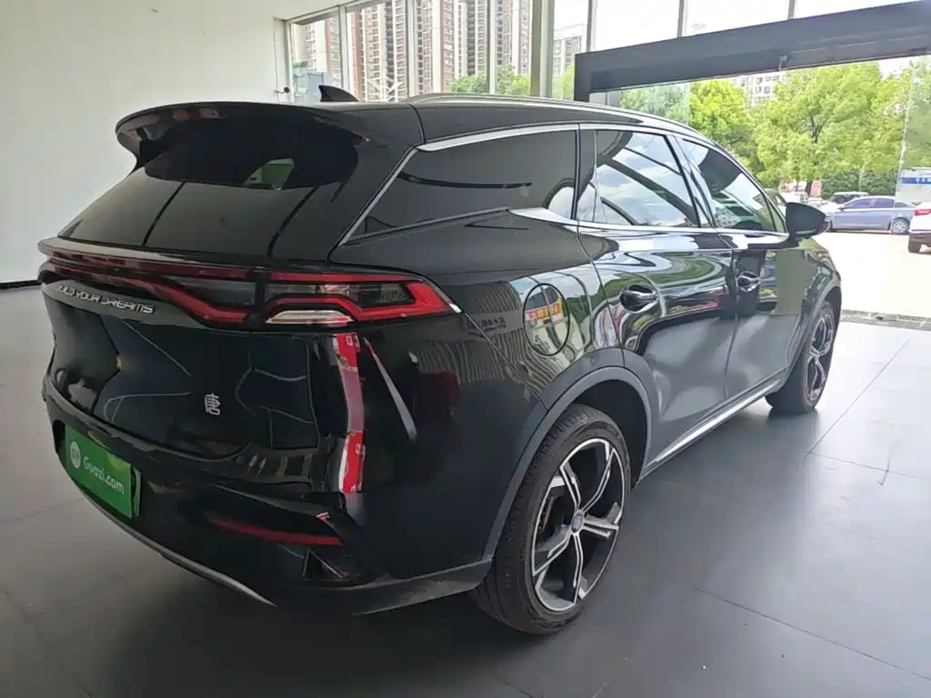 BYD Tang New Energy 2021
