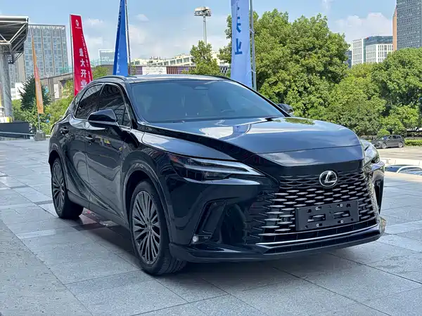 Lexus RX New Energy 2024