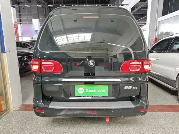 Dongfeng Lingzhi 2024