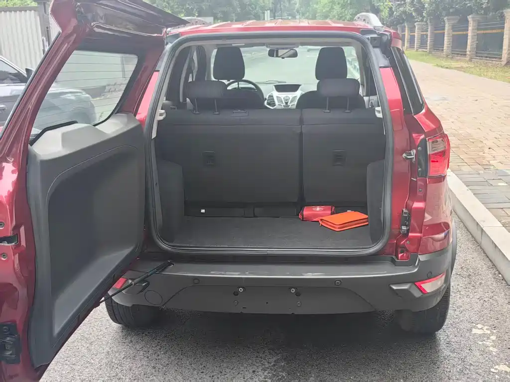 Ford Ecosport 2014 — фото 12