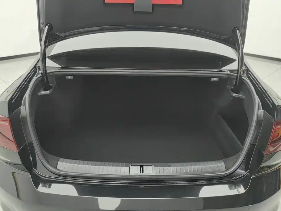 Volkswagen Magotan 2024