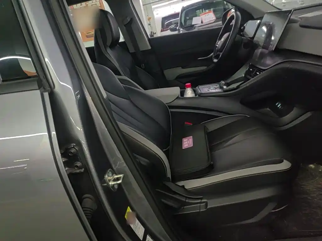 BYD Sealion 05 DM-i 2025 — фото 25