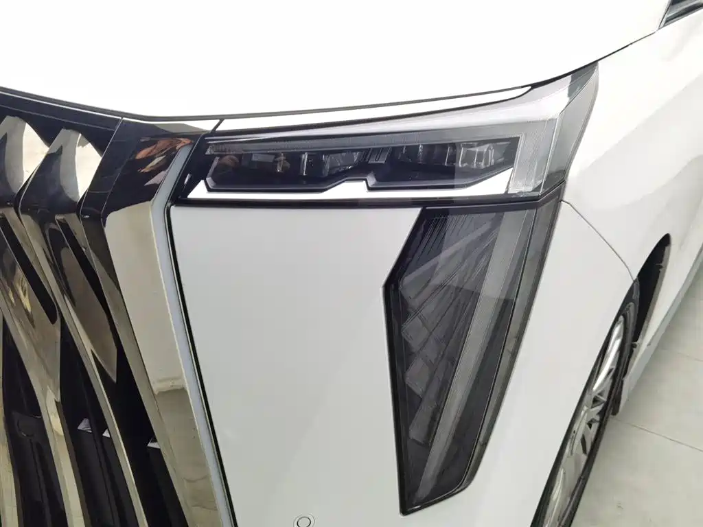 GAC Motor Trumpchi M8 2023 — фото 7