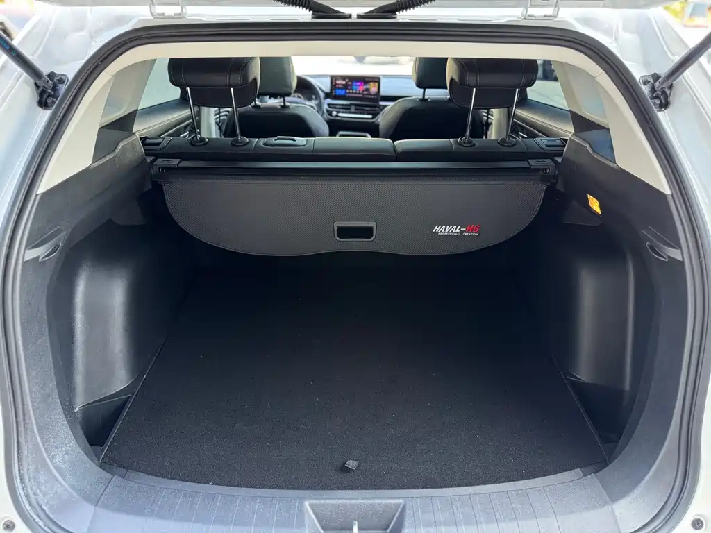 Haval H6 2023 — фото 19