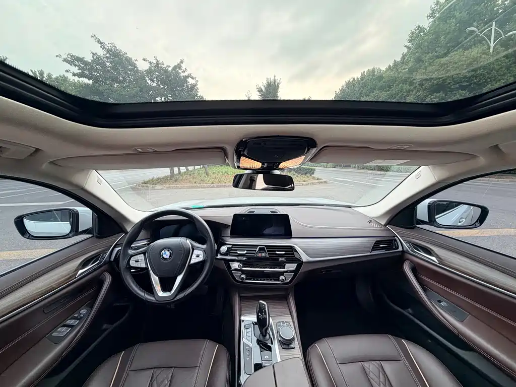 BMW 5 Series New Energy 2020