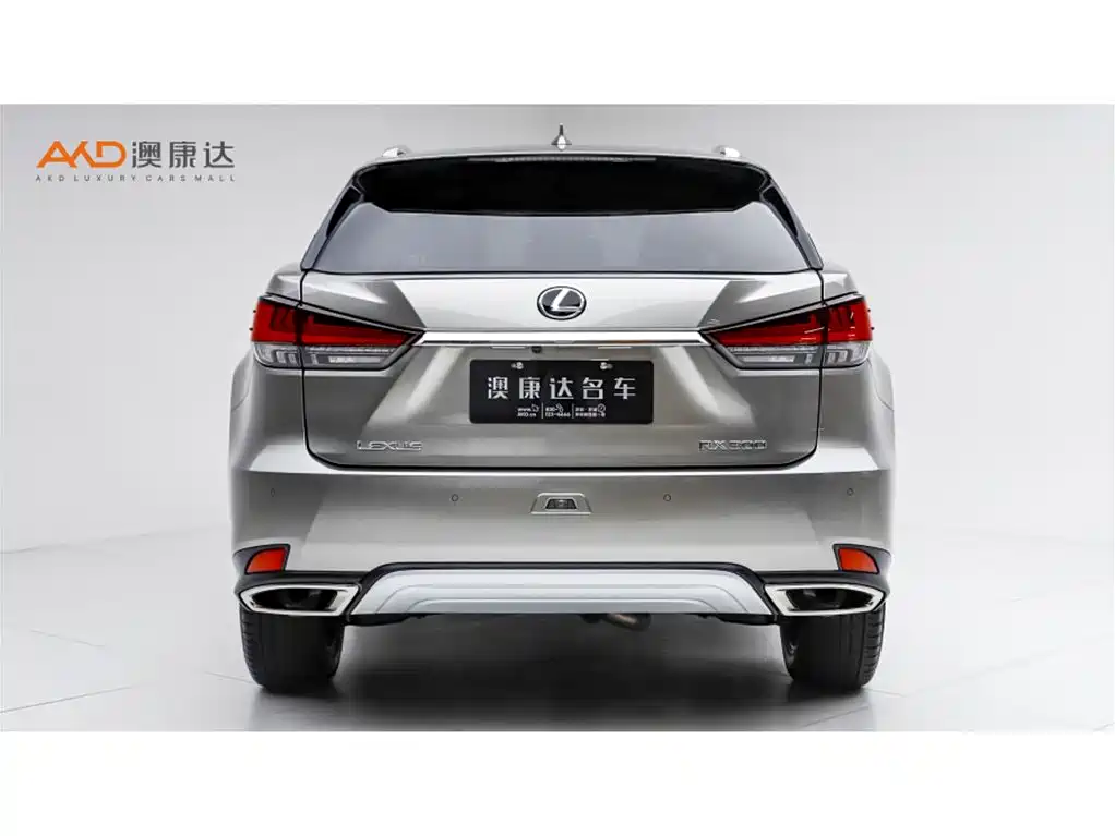 Lexus RX 2020 — фото 4