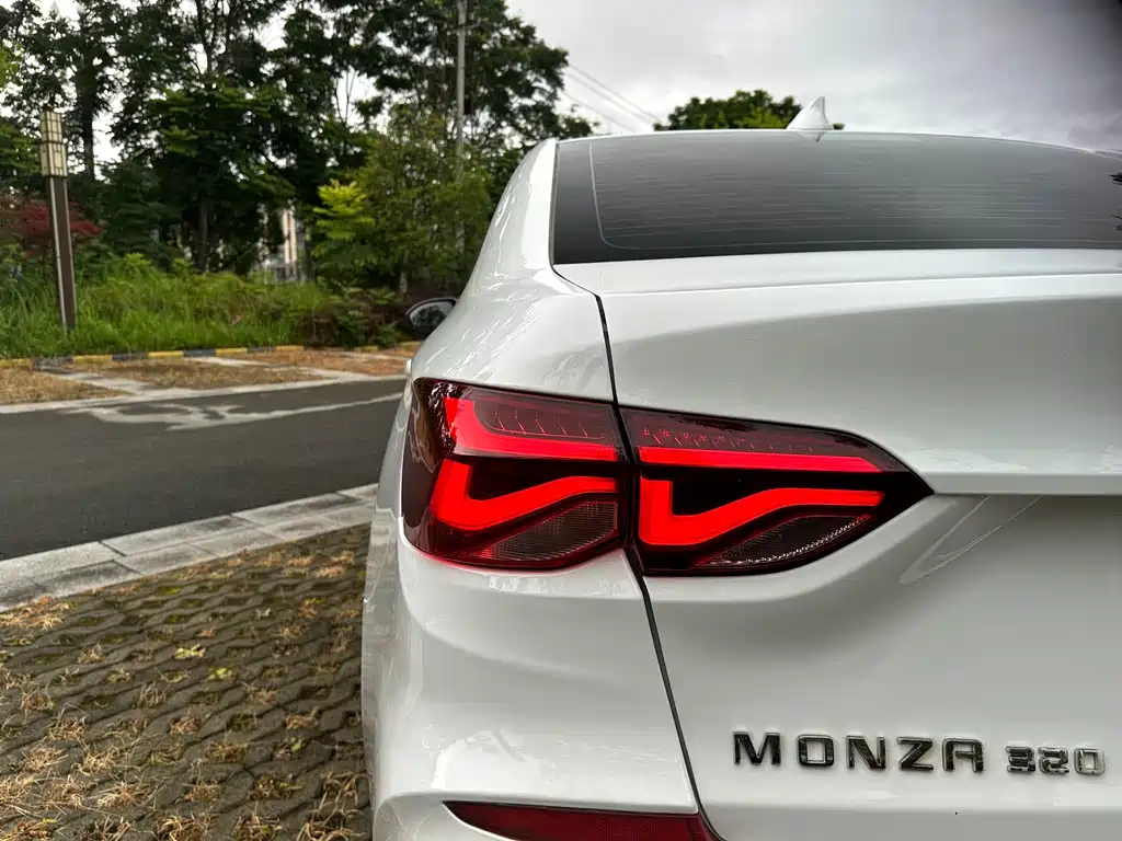 Chevrolet Monza 2021 — фото 13