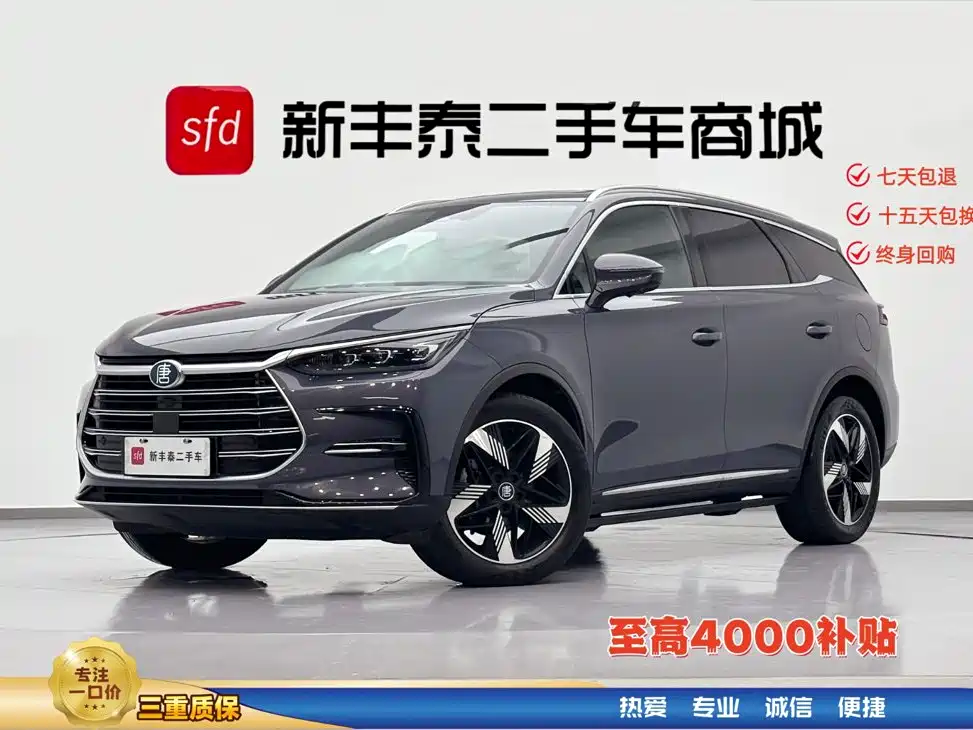 BYD Tang New Energy 2023 — фото 1