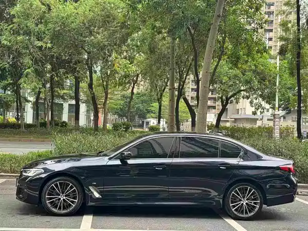 BMW 5 Series 2021