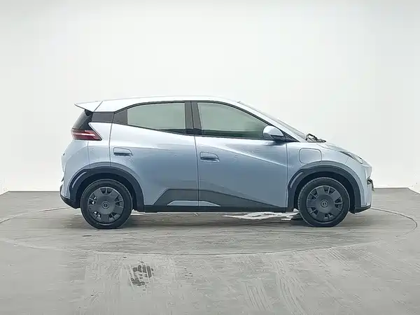 BYD Seagull 2024