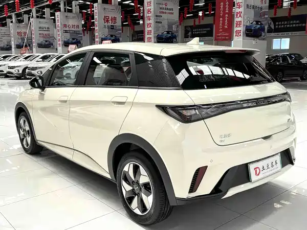 BYD Dolphin 2026