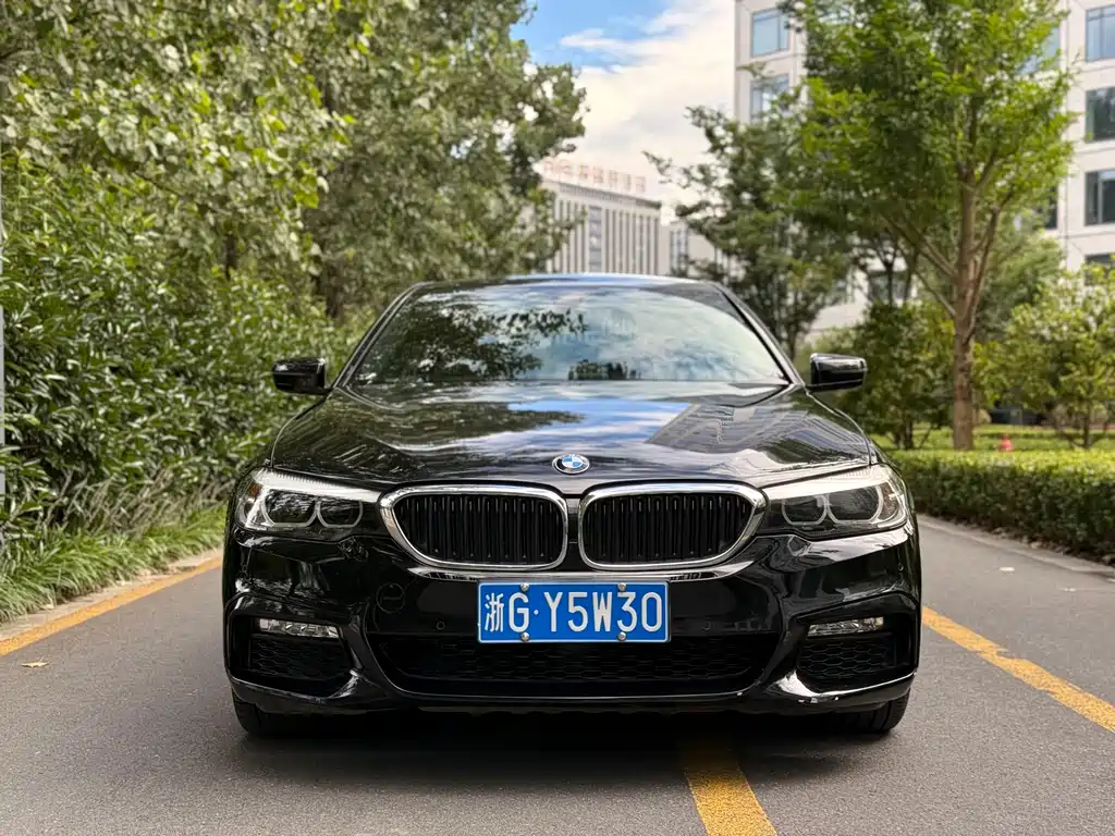 BMW 5 Series 2017