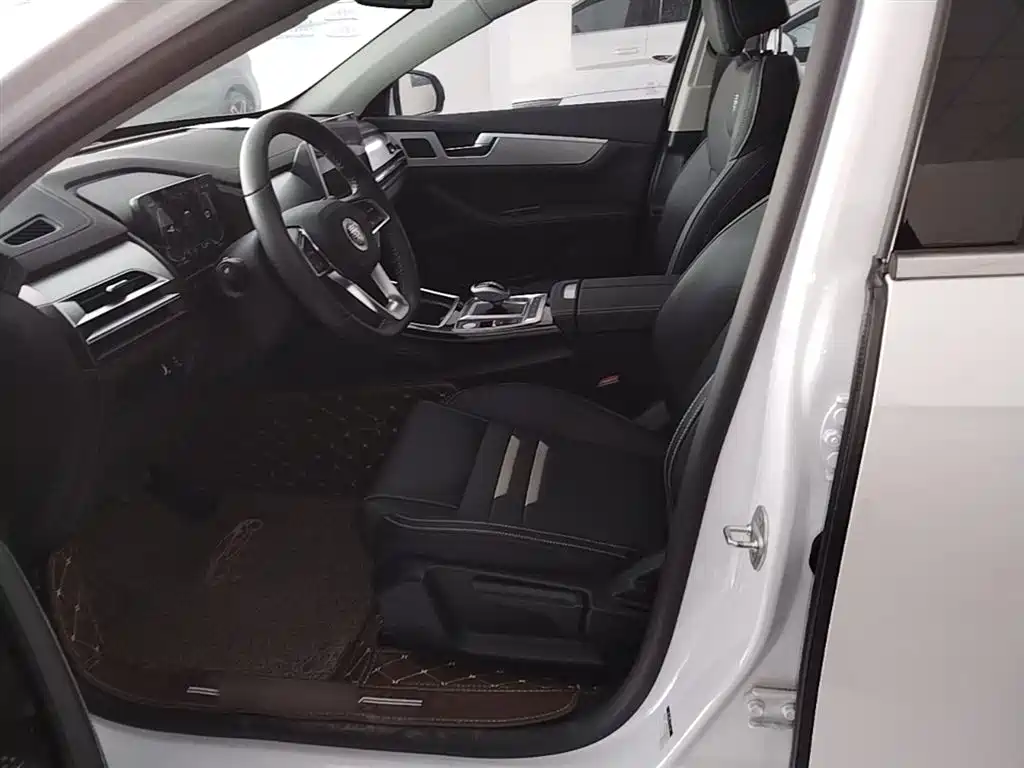 BYD Qin Pro NEV 2020 — фото 15