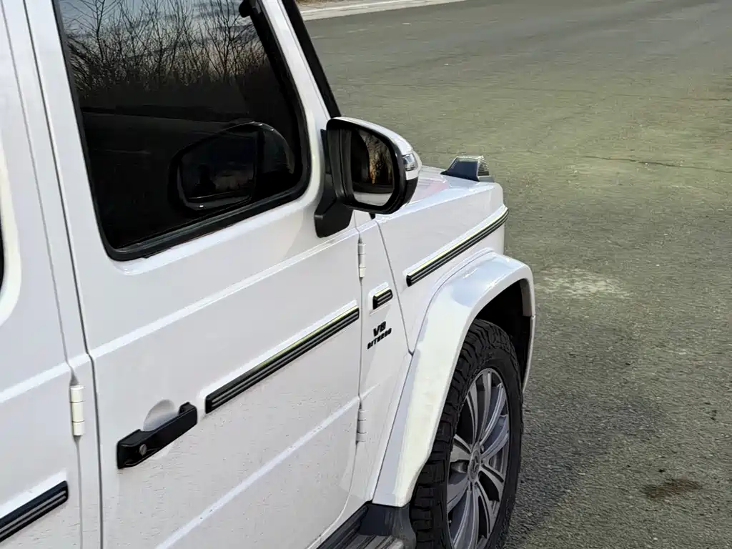 Mercedes-Benz G-Class 2021 — фото 14