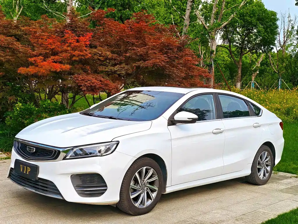 Geely Binrui 2020