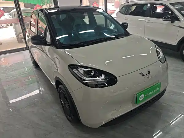 Wuling Bingo 2024