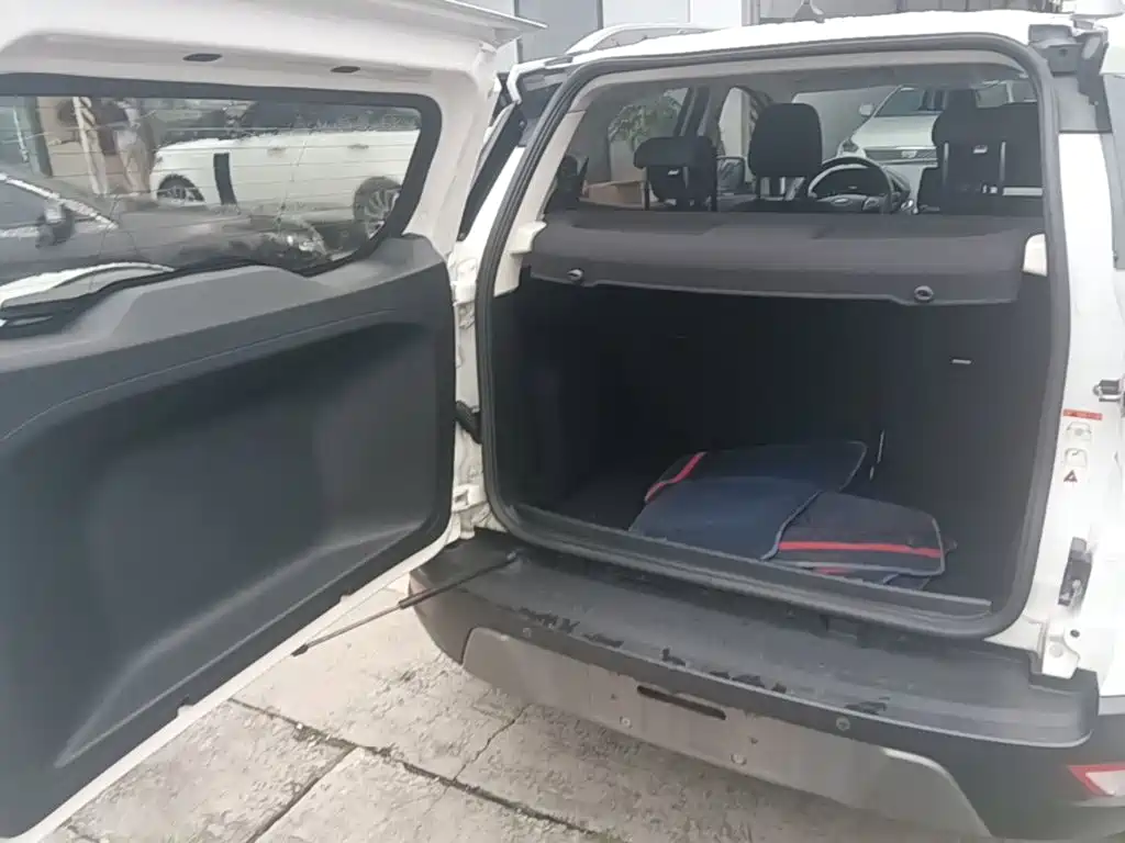 Ford Ecosport 2017 — фото 19