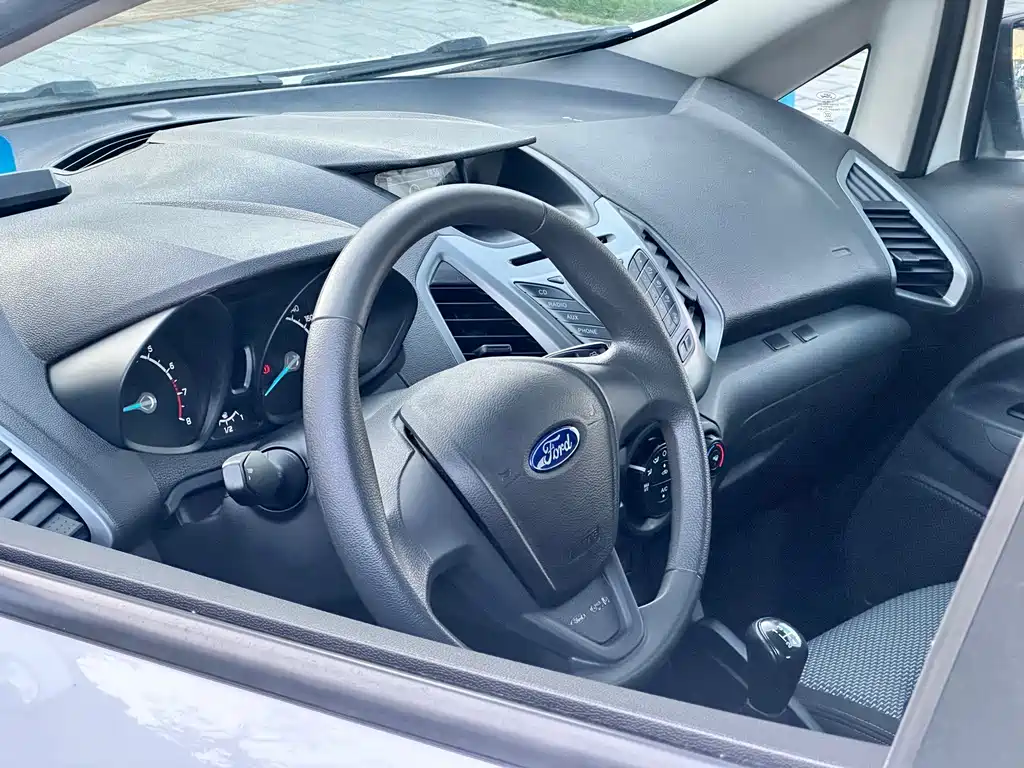 Ford EcoSport 2015 — фото 19