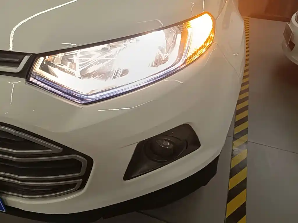Ford Ecosport 2015 — фото 24