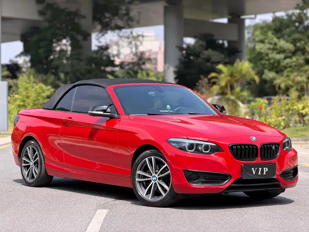 BMW 2 Series 2018 — фото 6
