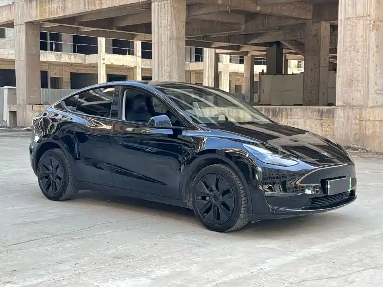 Tesla Model Y 2024 — фото 3