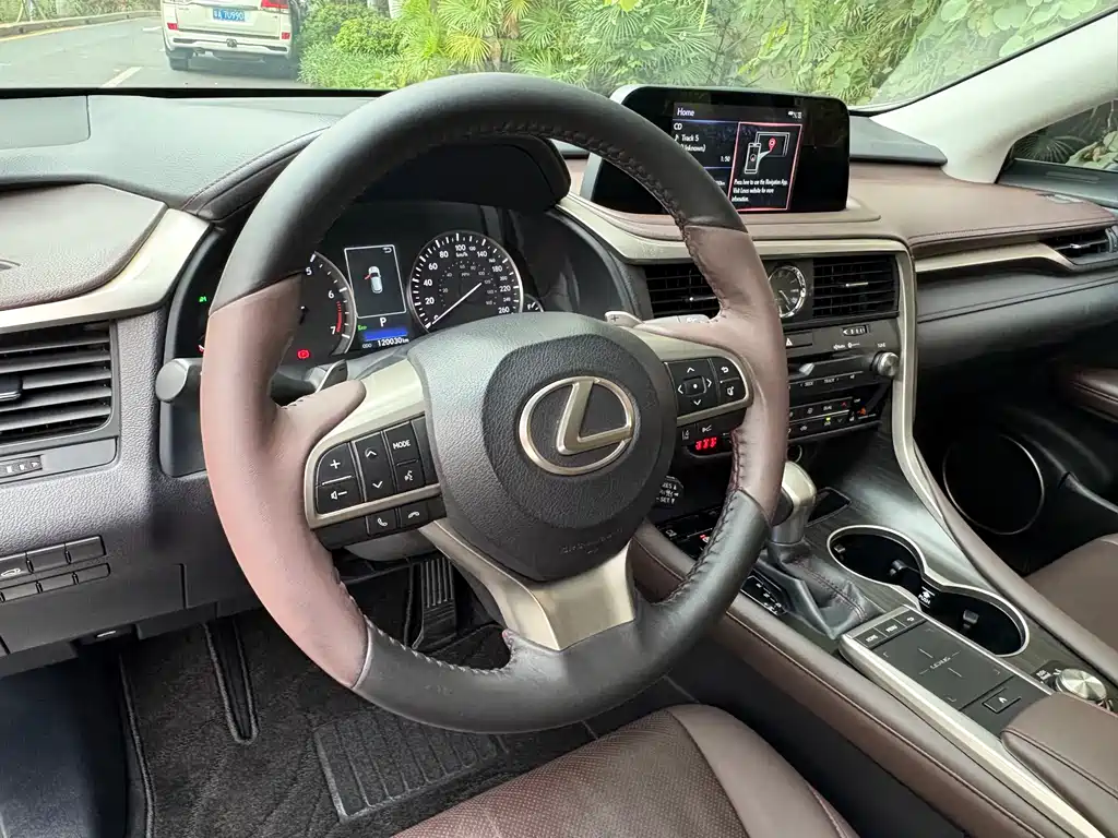 Lexus RX 2020 — фото 14
