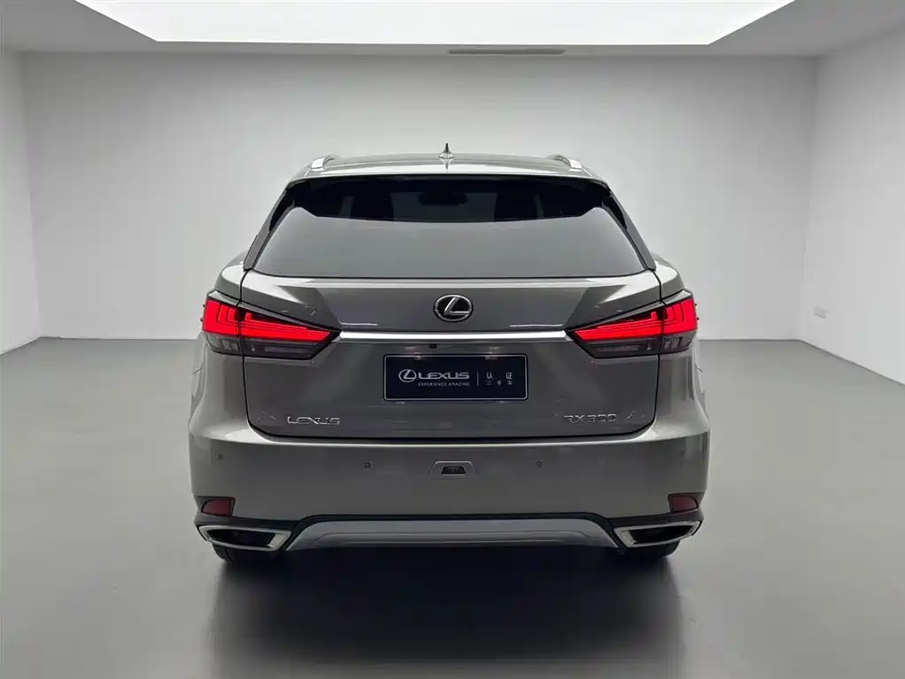 Lexus RX 2022 — фото 15