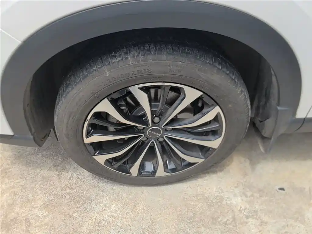 Roewe RX5 MAX 2021 — фото 23