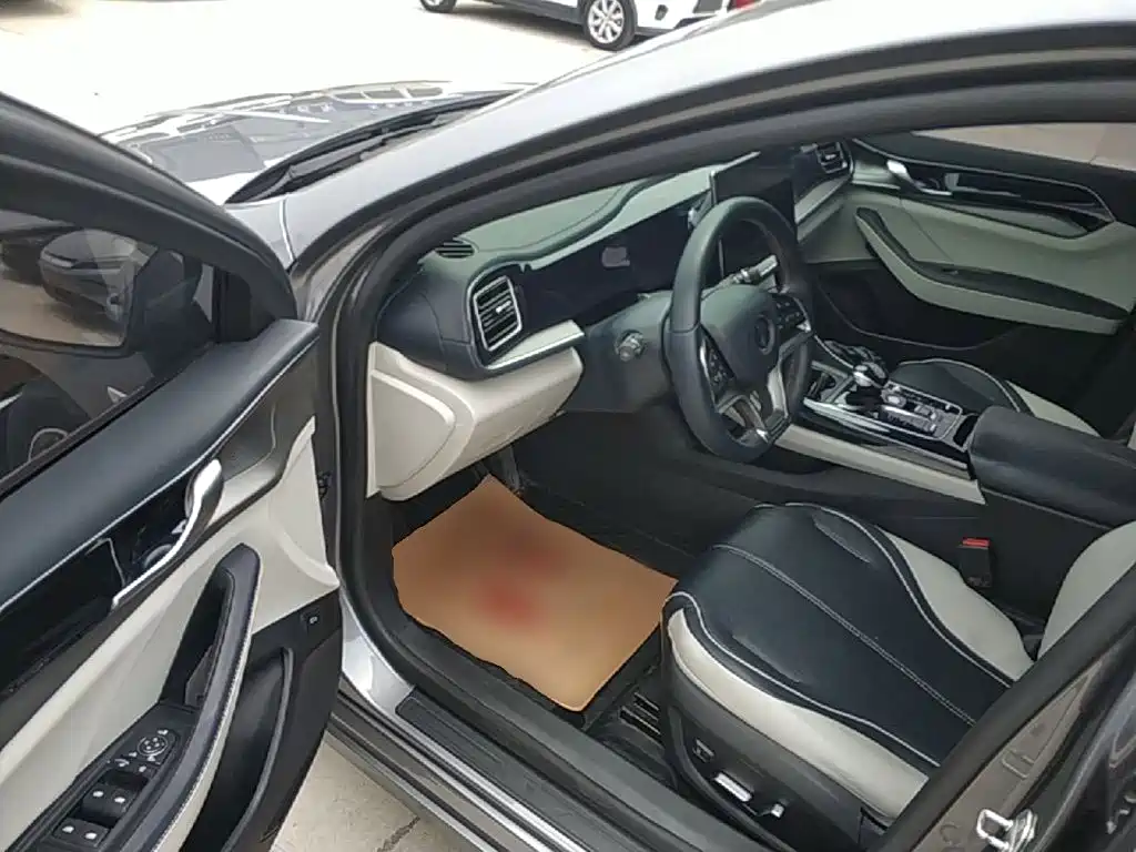 BYD Qin PLUS 2023 — фото 16