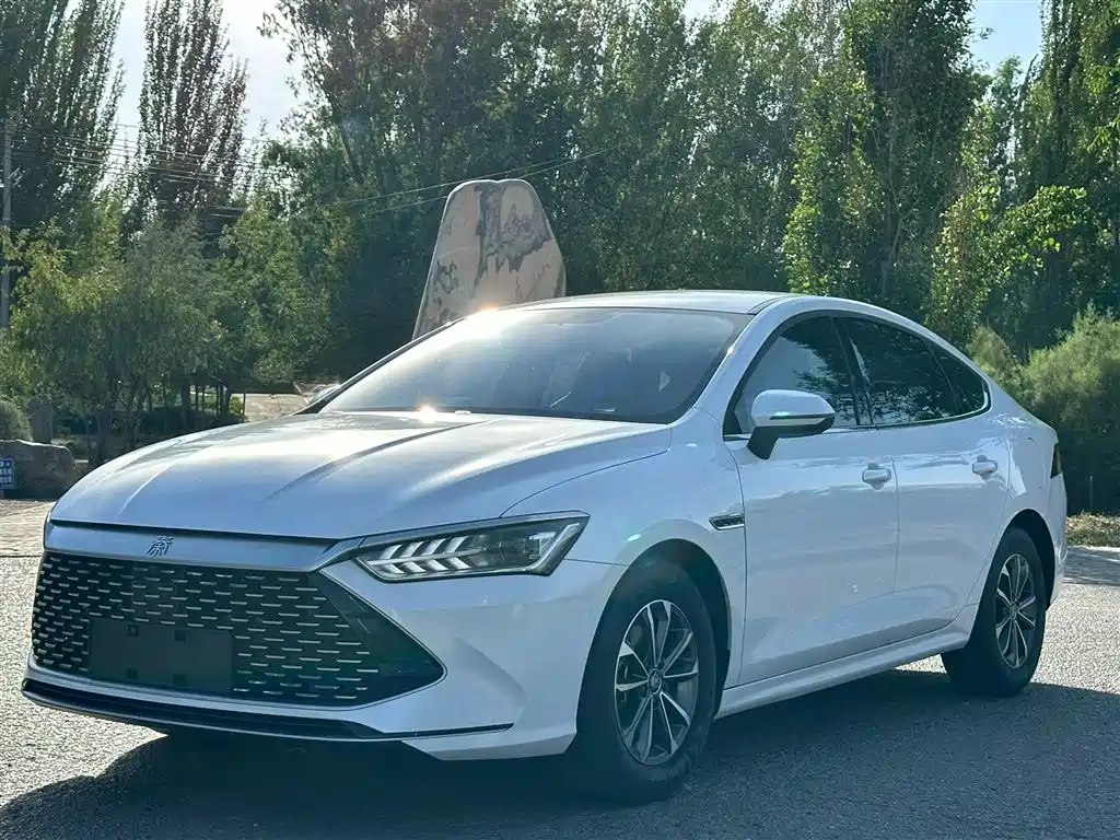 BYD Qin PLUS 2023 — фото 1
