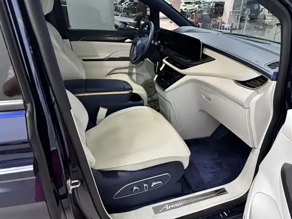 Buick GL8 2020