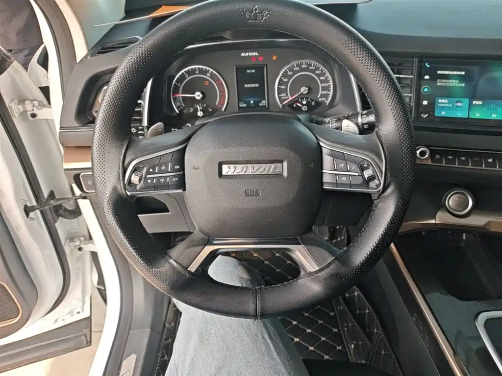 Haval H6 2020 — фото 11