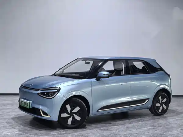 Dongfeng Nano 01 2024