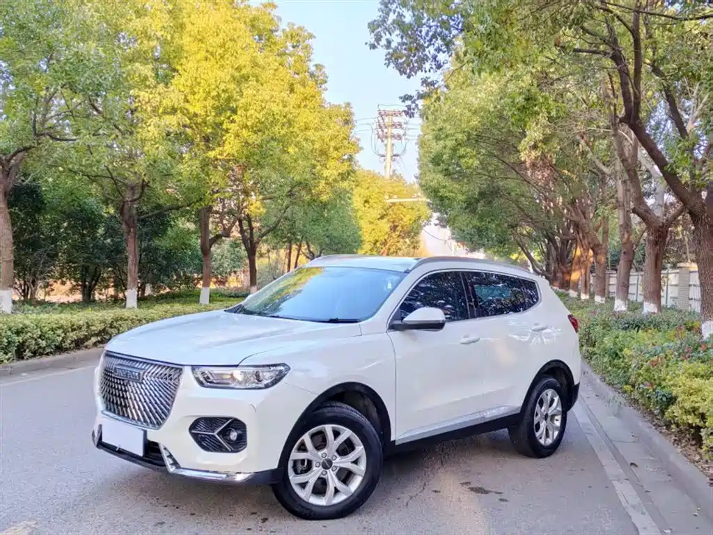 Haval H6 2020 — фото 2