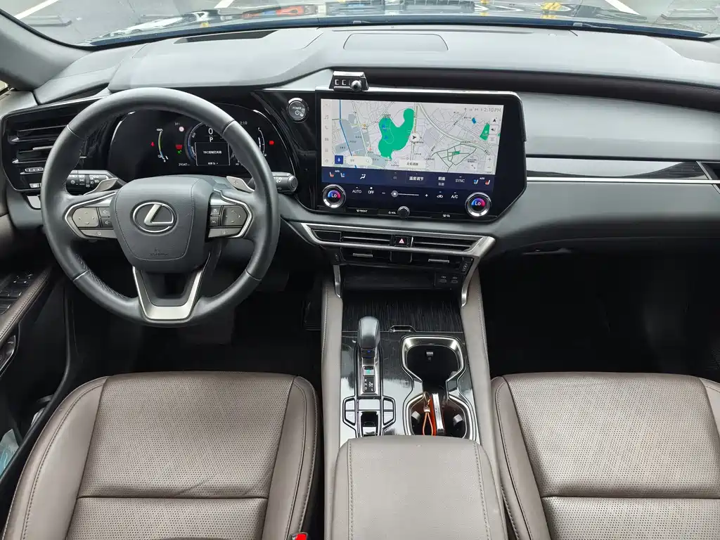 Lexus RX New Energy 2024 — фото 10
