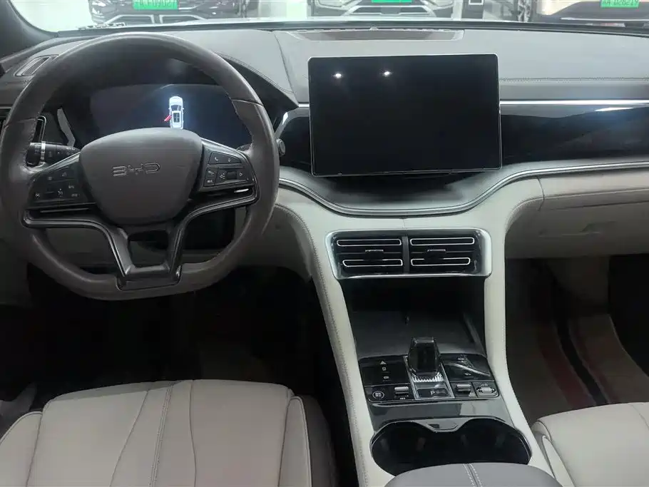 BYD PLUS New Energy 2025 — фото 12