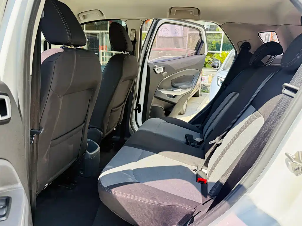 Ford Ecosport 2017 — фото 13