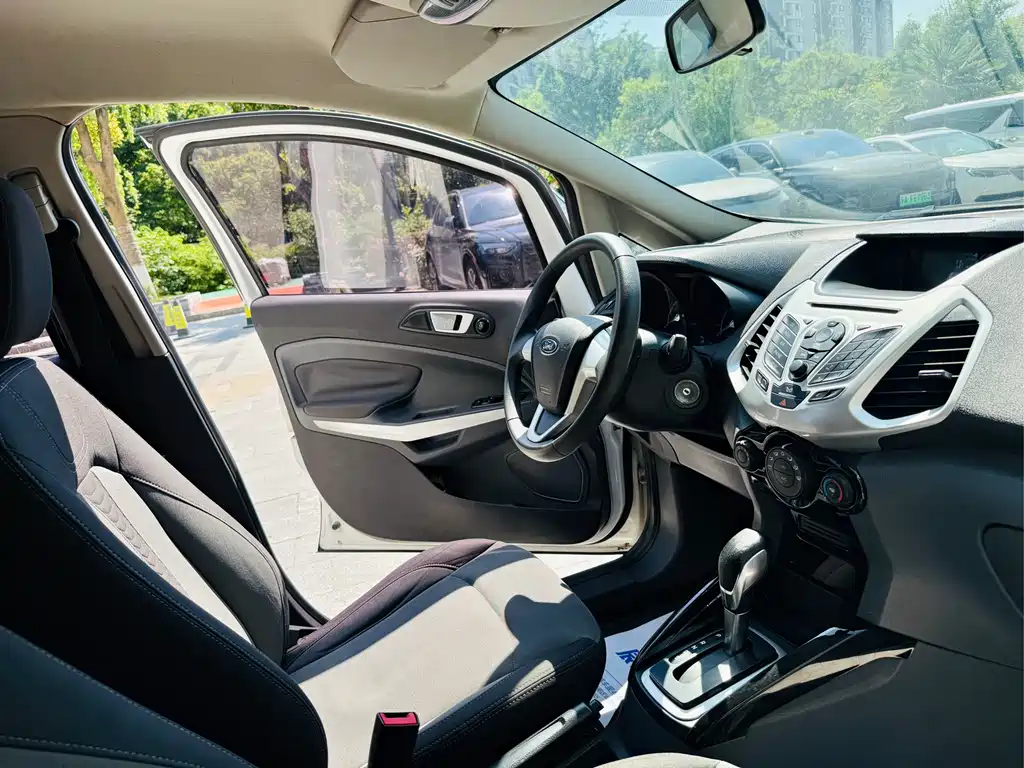 Ford Ecosport 2017 — фото 12