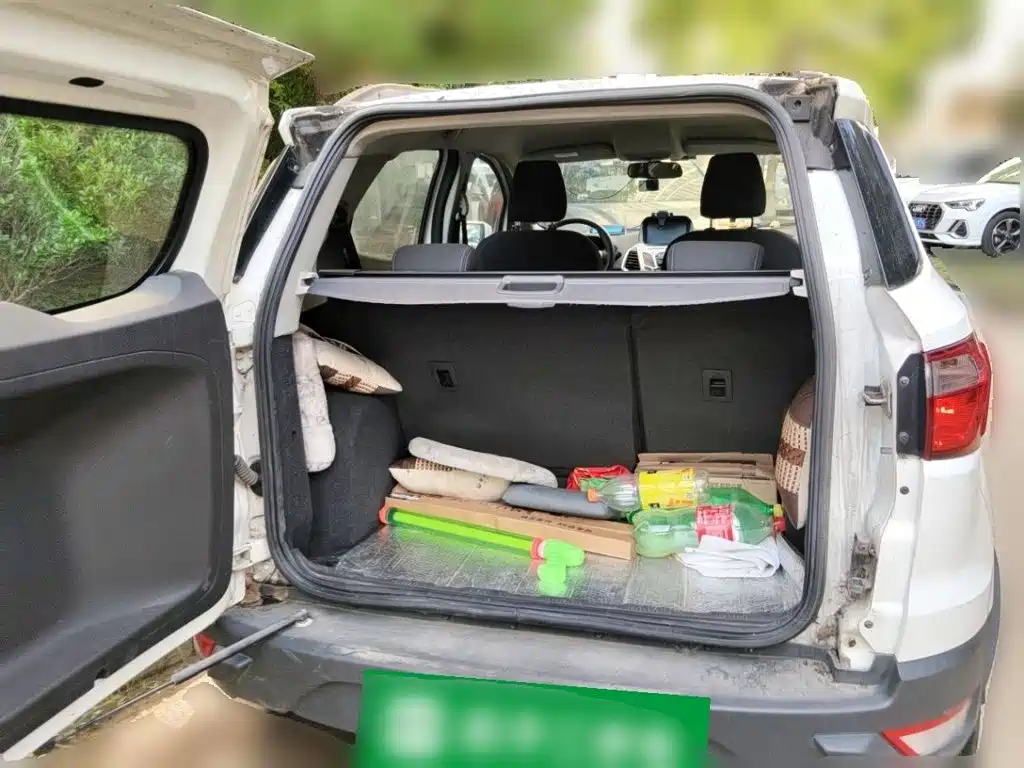 Ford Ecosport 2015 — фото 16