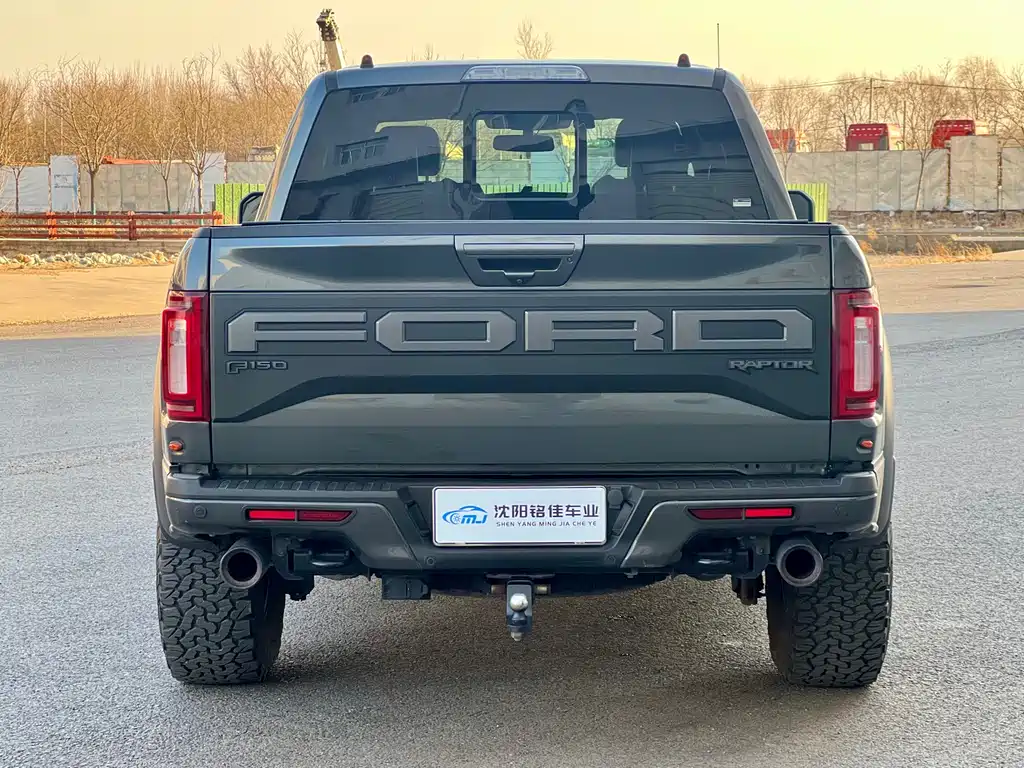 Ford F-150 Raptor 2019 — фото 13