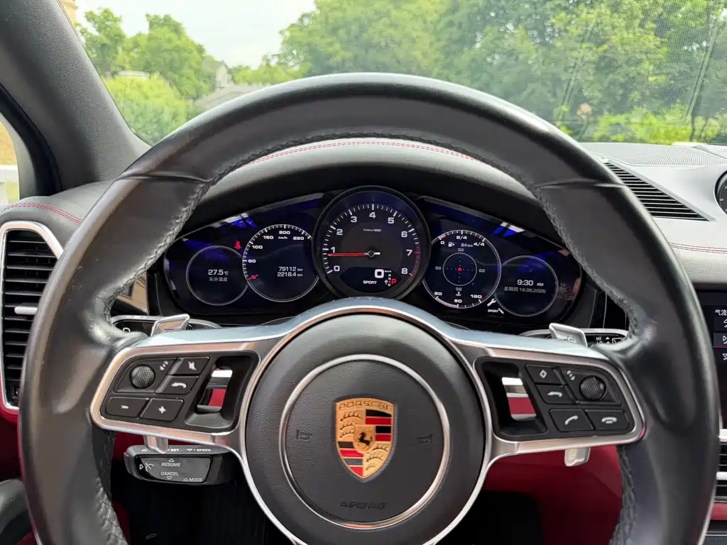 Porsche Cayenne 2019 — фото 18