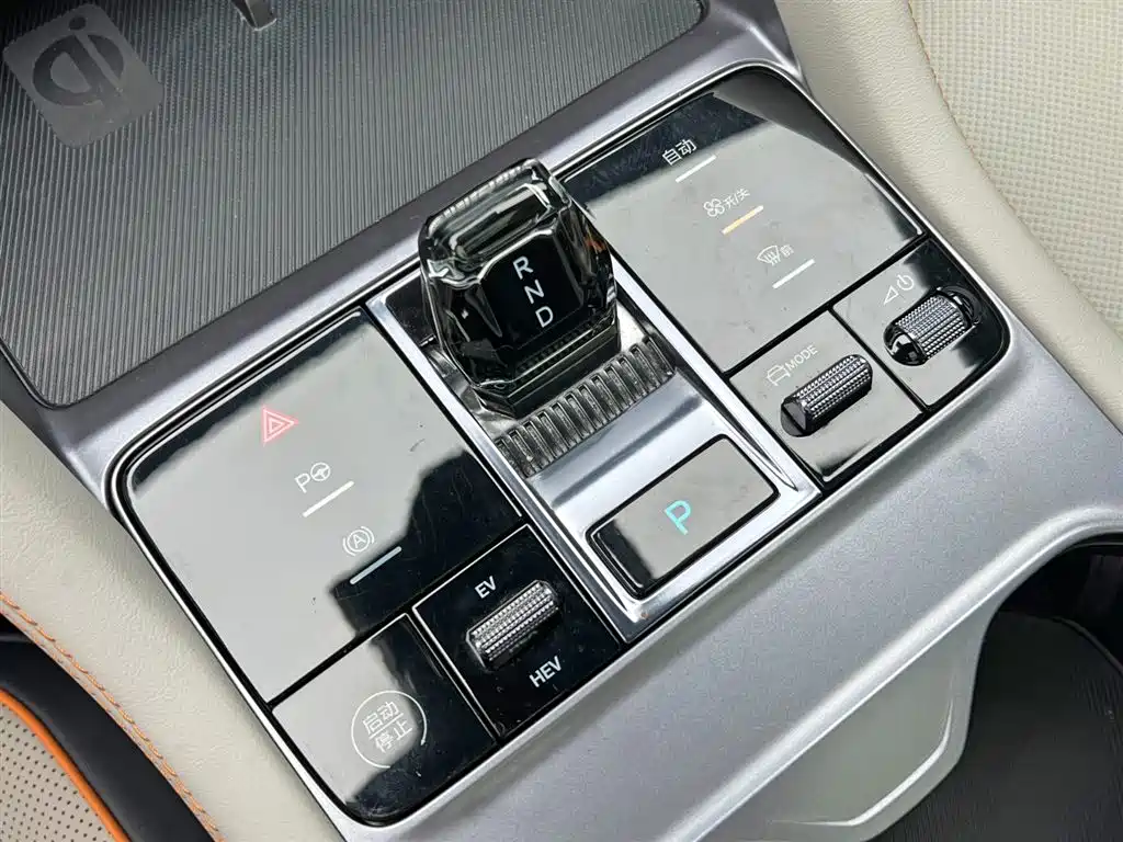 BYD PLUS New Energy 2023 — фото 19