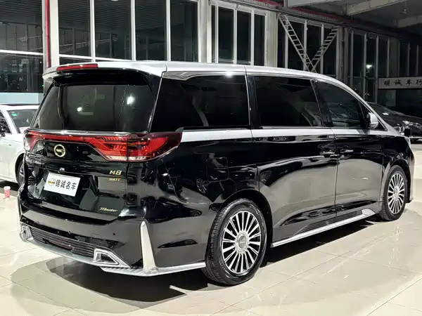 GAC Trumpchi M8 2021