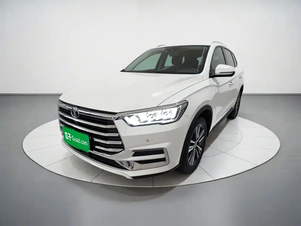 BYD Pro 2020 — фото 2