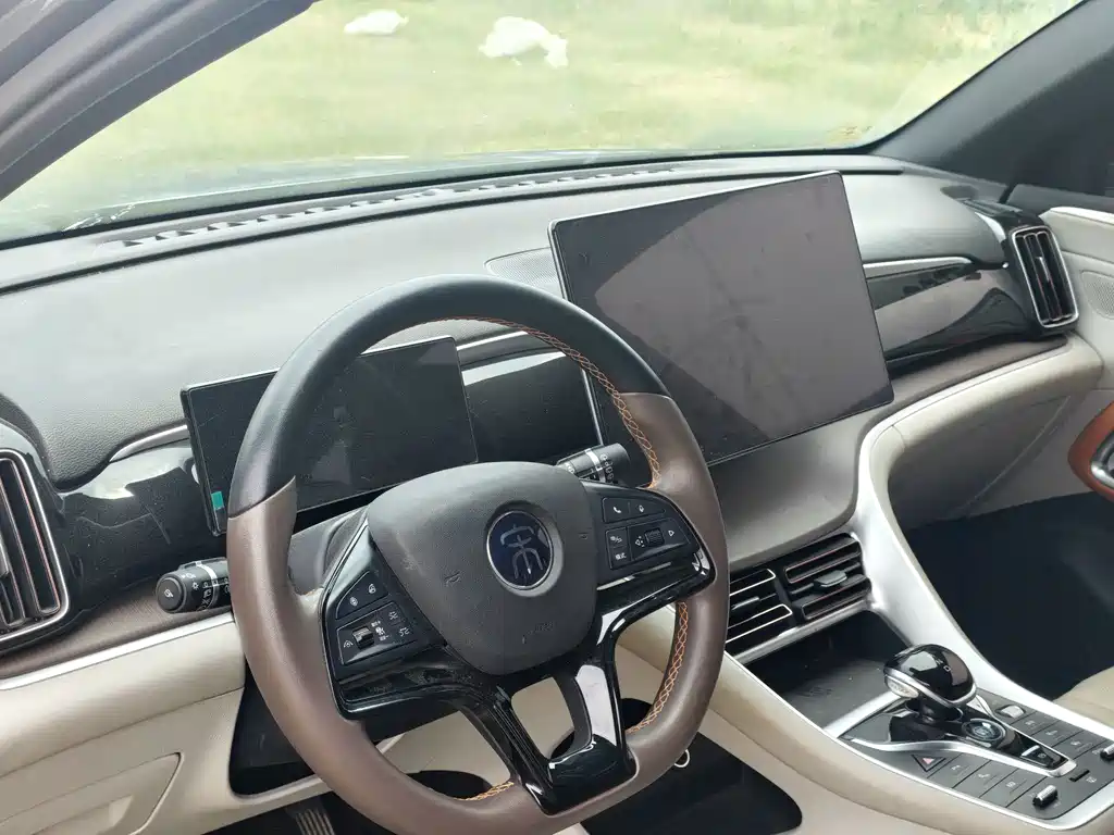 BYD Pro New Energy 2023 — фото 10
