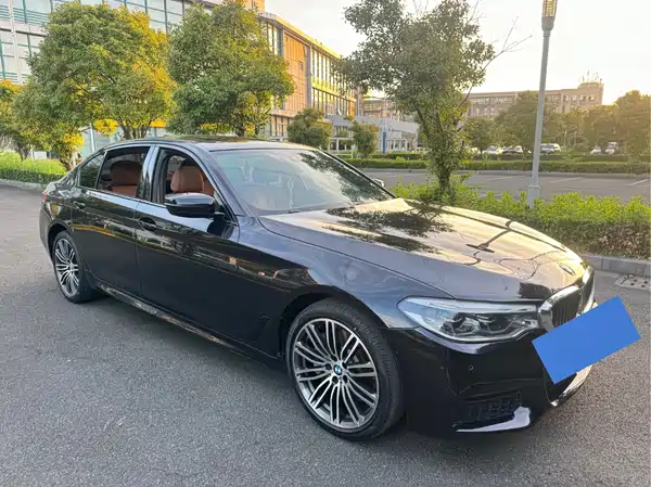 BMW 5 Series 2019