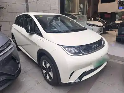 BYD Dolphin 2026
