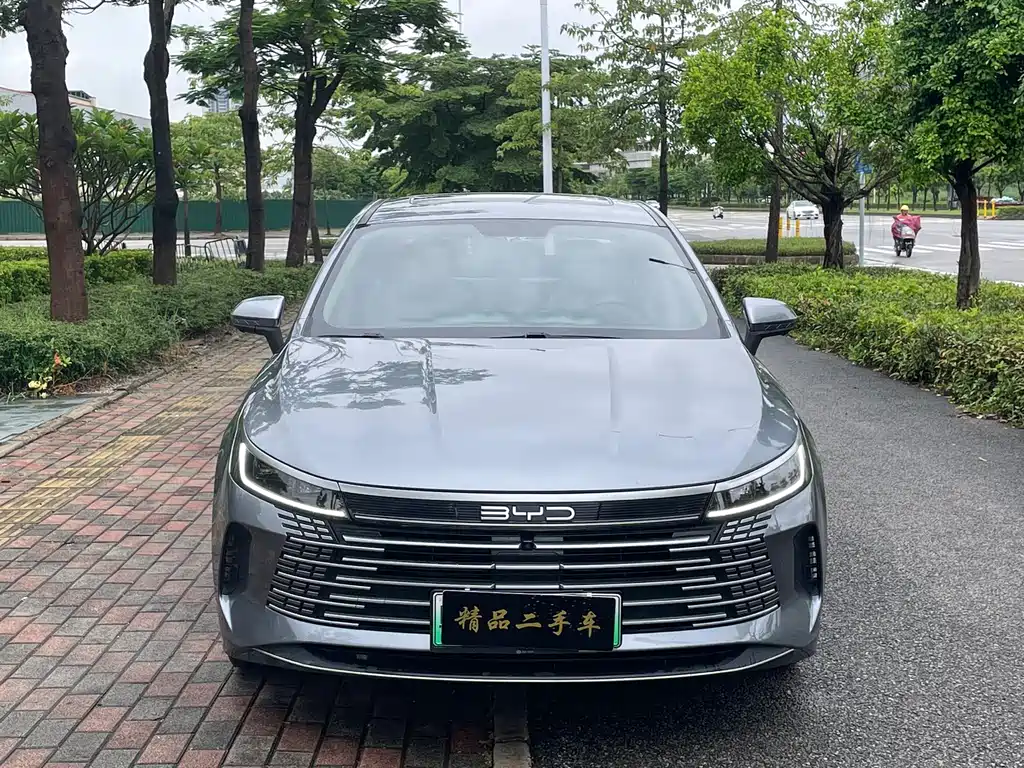 BYD Destroyer 05 2024 — фото 2