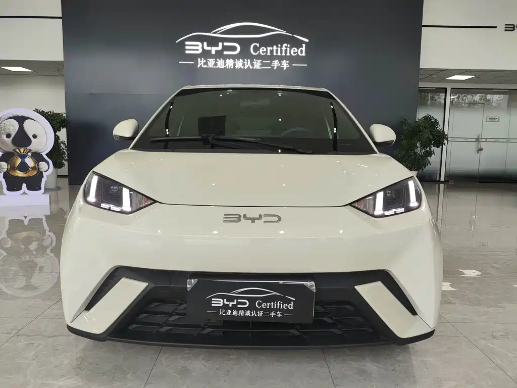 BYD Seagull 2024